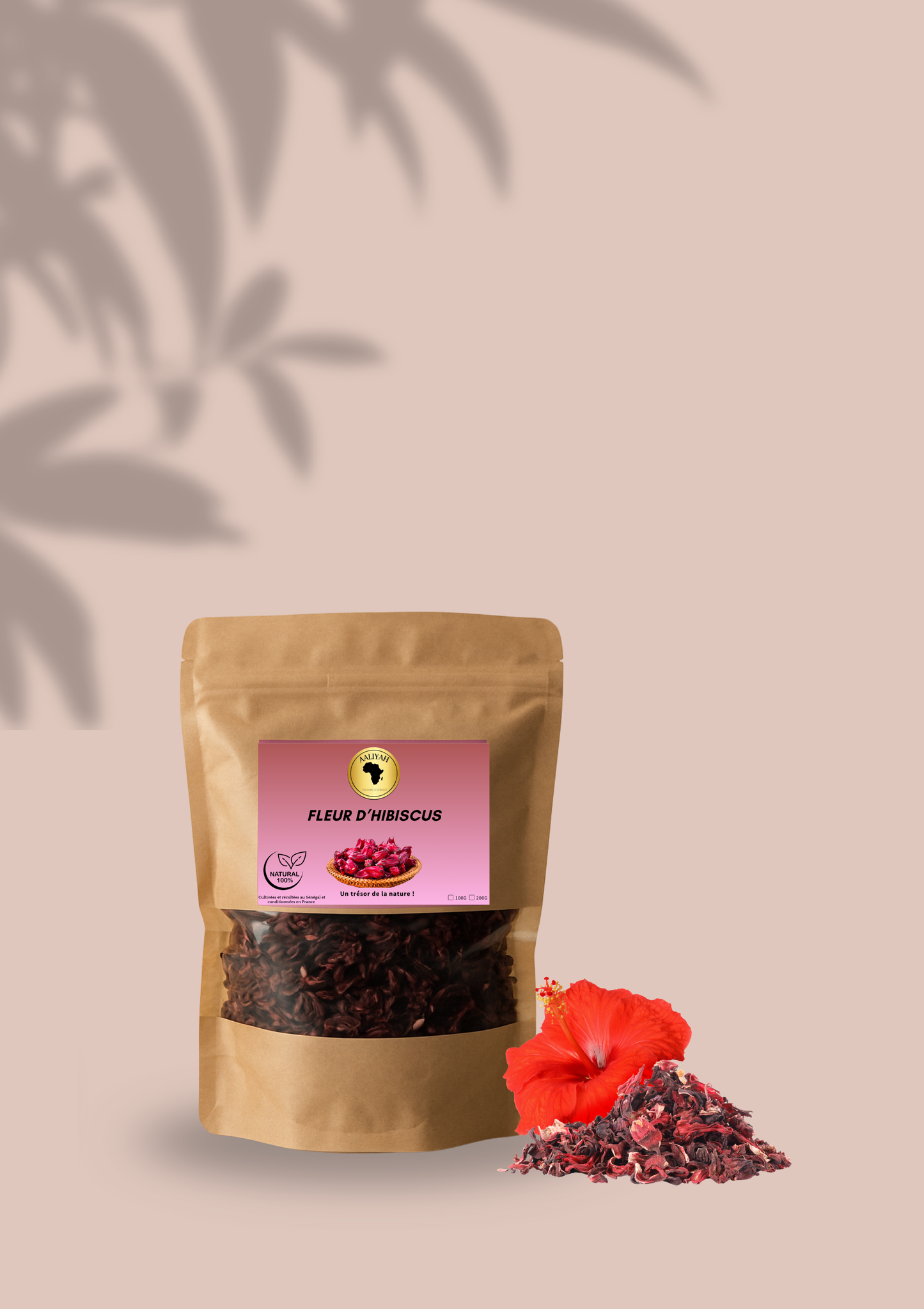 𝐁𝐢𝐬𝐬𝐚𝐩 / 𝐅𝐥𝐞𝐮𝐫 𝐝’𝐇𝐢𝐛𝐢𝐬𝐜𝐮𝐬