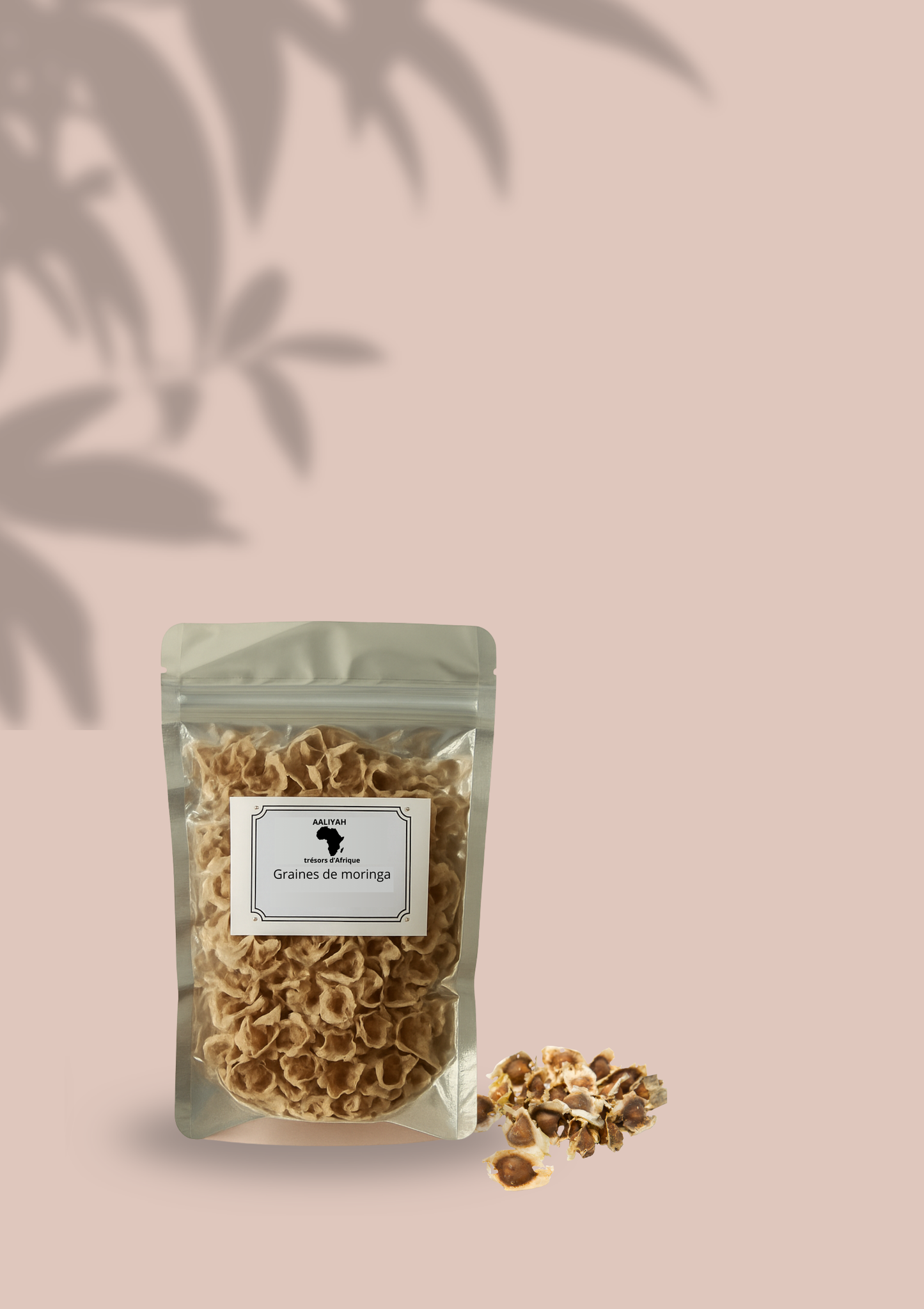 𝐆𝐫𝐚𝐢𝐧𝐞 𝐝𝐞 𝐌𝐨𝐫𝐢𝐧𝐠𝐚