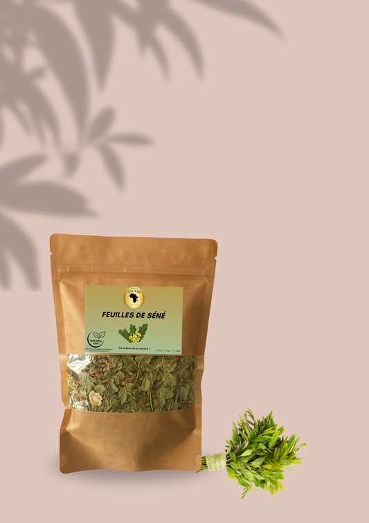 𝐅𝐞𝐮𝐢𝐥𝐥𝐞𝐬 𝐝𝐞 𝐒𝐞́𝐧𝐞́