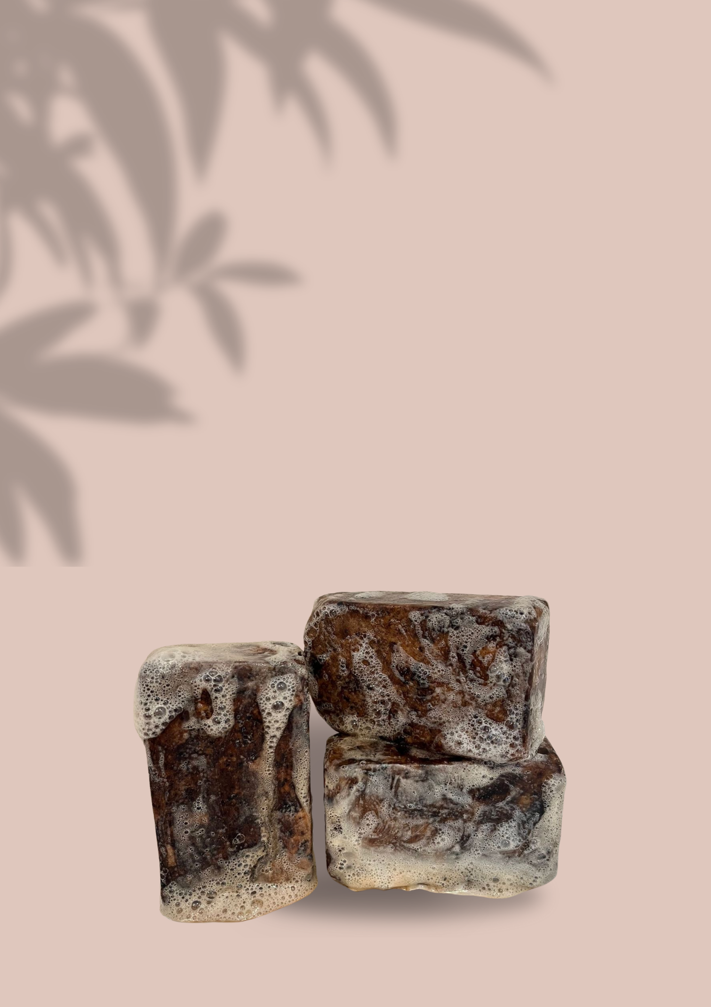 𝐒𝐚𝐯𝐨𝐧 𝐍𝐨𝐢𝐫