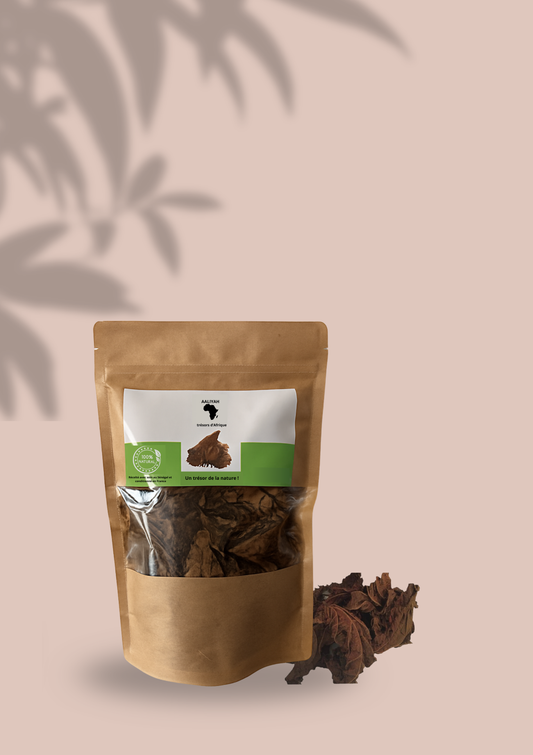 𝐅𝐞𝐮𝐢𝐥𝐥𝐞𝐬 𝐝𝐞 𝐃𝐣𝐞𝐤𝐚 𝐍𝐚𝐭𝐮𝐫𝐞𝐥