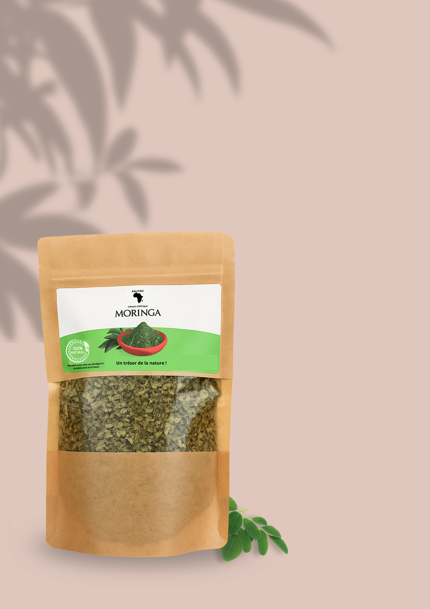 đ
đđźđąđ„đ„đđŹ đđ đđšđ«đąđ§đ đ