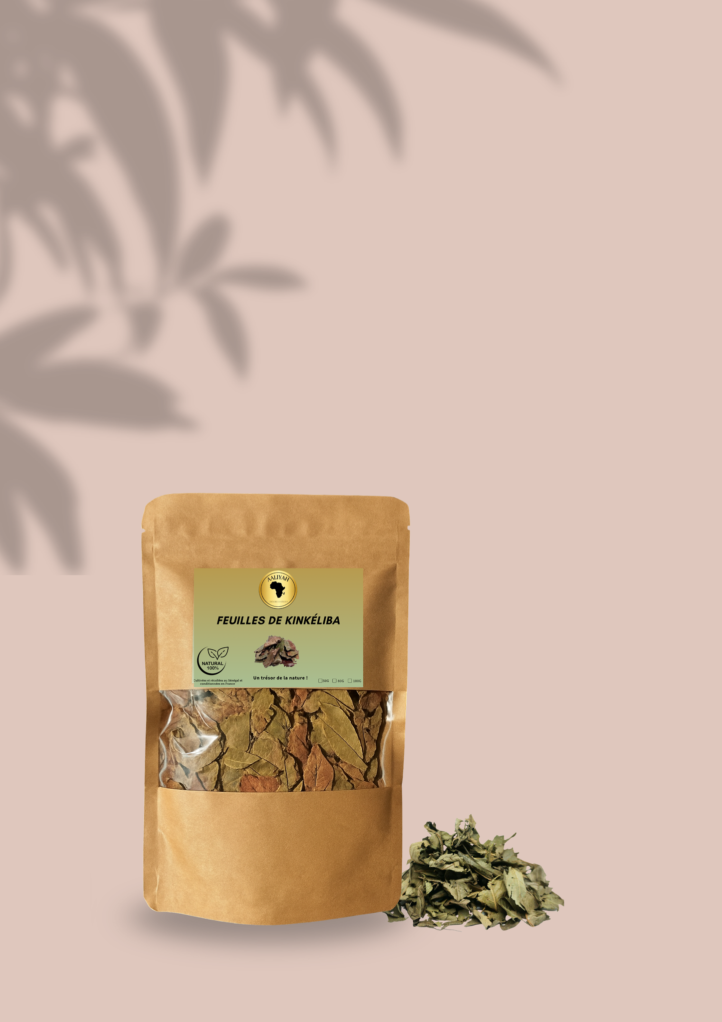 𝐅𝐞𝐮𝐢𝐥𝐥𝐞𝐬 𝐝𝐞 𝐊𝐢𝐧𝐤𝐞́𝐥𝐢𝐛𝐚