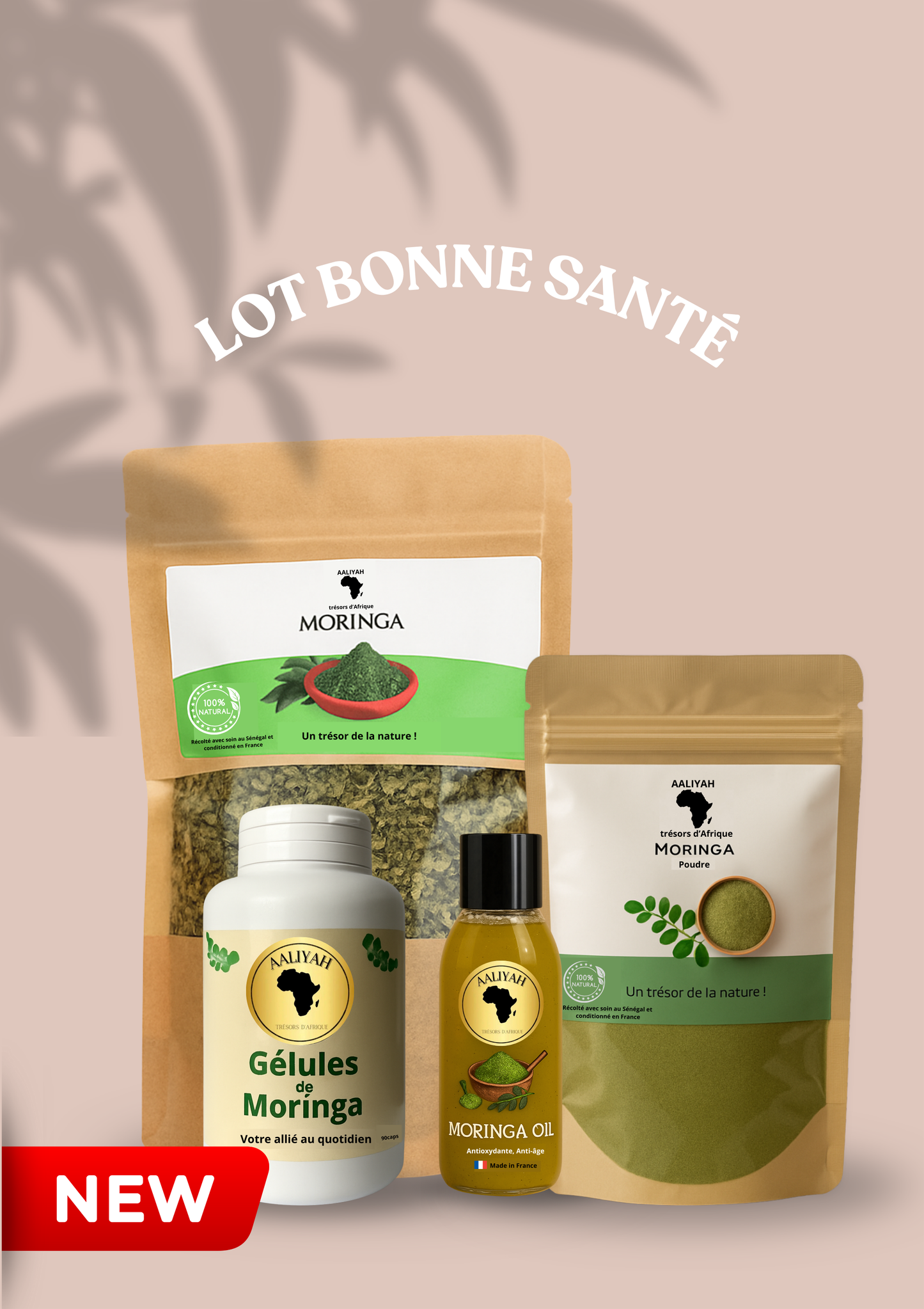 𝐋𝐨𝐭 𝐛𝐨𝐧𝐧𝐞 𝐬𝐚𝐧𝐭𝐞́