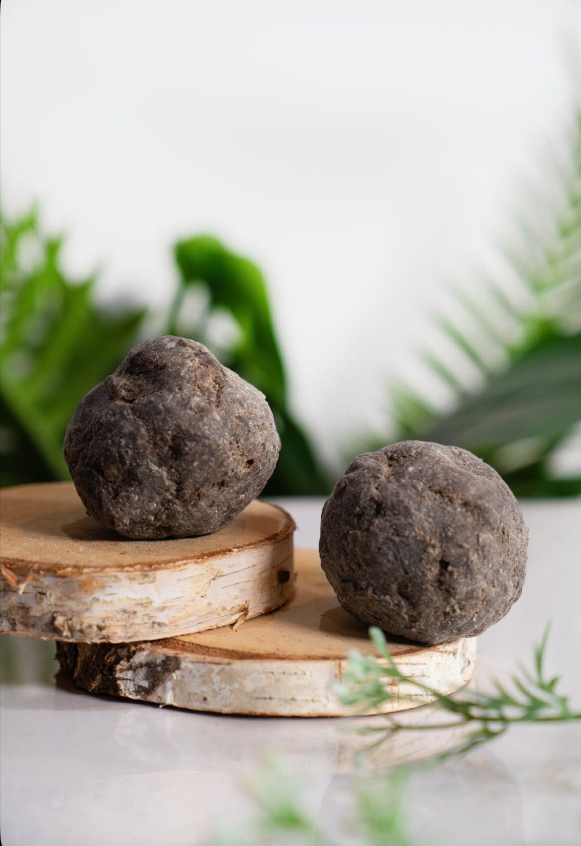 𝐒𝐚𝐯𝐨𝐧 𝐤𝐨𝐭𝐨 𝐚𝐮 𝐤𝐚𝐫𝐢𝐭𝐞́ 𝐍𝐚𝐭𝐮𝐫𝐞𝐥